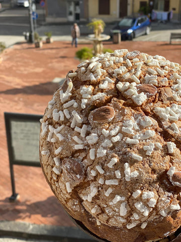 Panettone artigianale classico siciliano con uvetta e canditi in vendita online